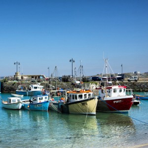 Newquay Harbour Life 4  